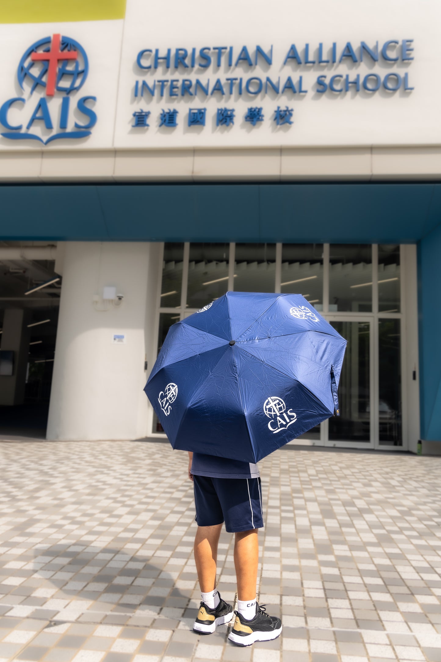 Automatic Folding Umbrella